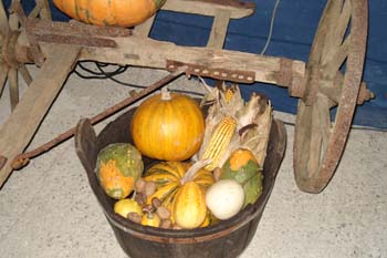 Herbstzeitsession07 169